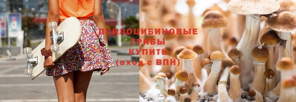 гидра Белокуриха