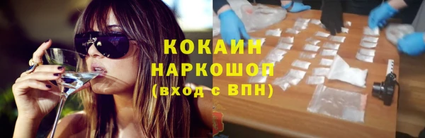 эйфоретик Няндома
