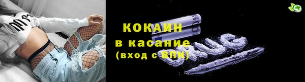 гидра Белокуриха