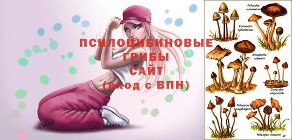 гидра Белокуриха