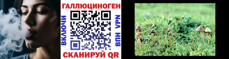 мориарти Telegram  Кушва  Псилоцибиновые грибы мухоморы 